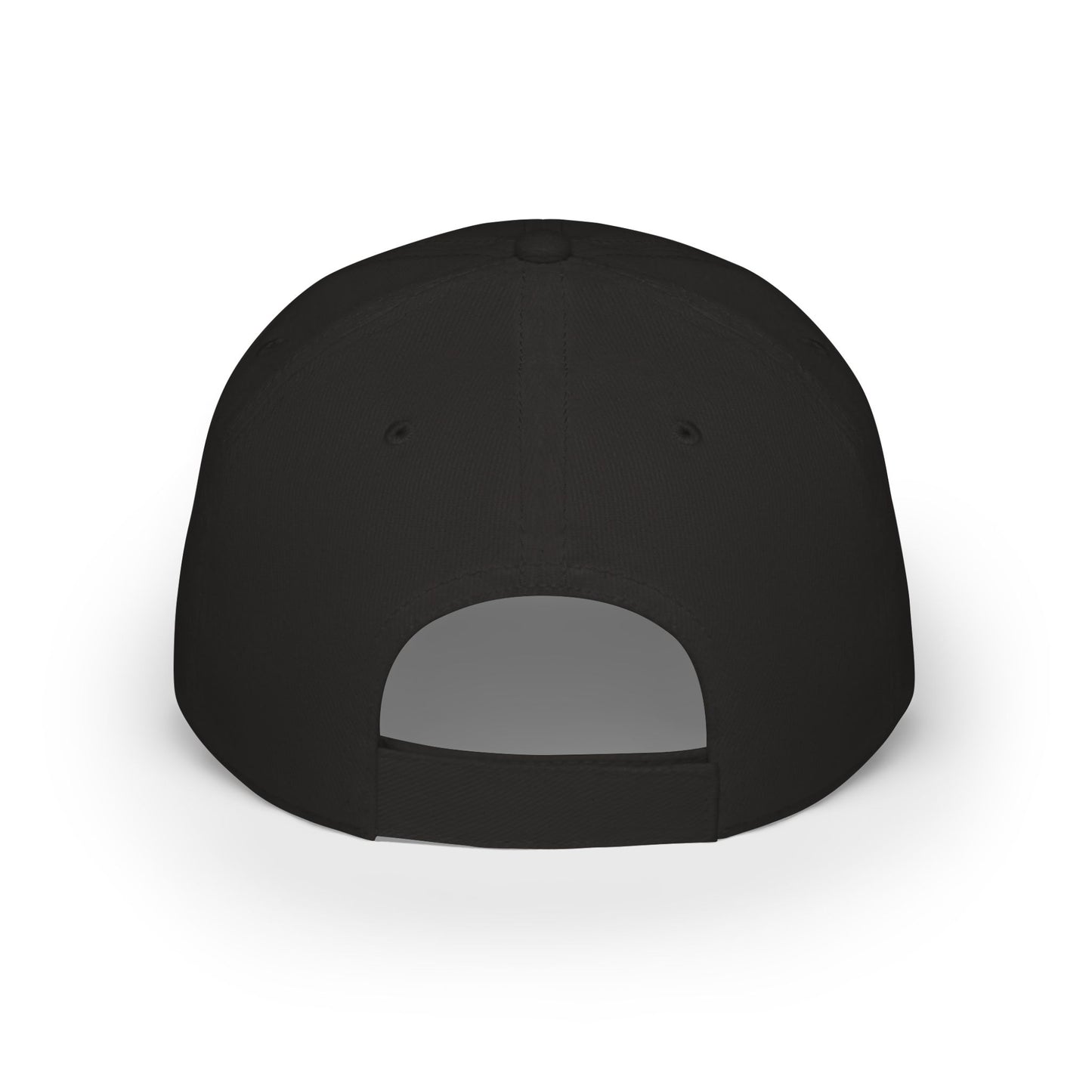 Stupid Bastard University Low Profile Baseball Cap